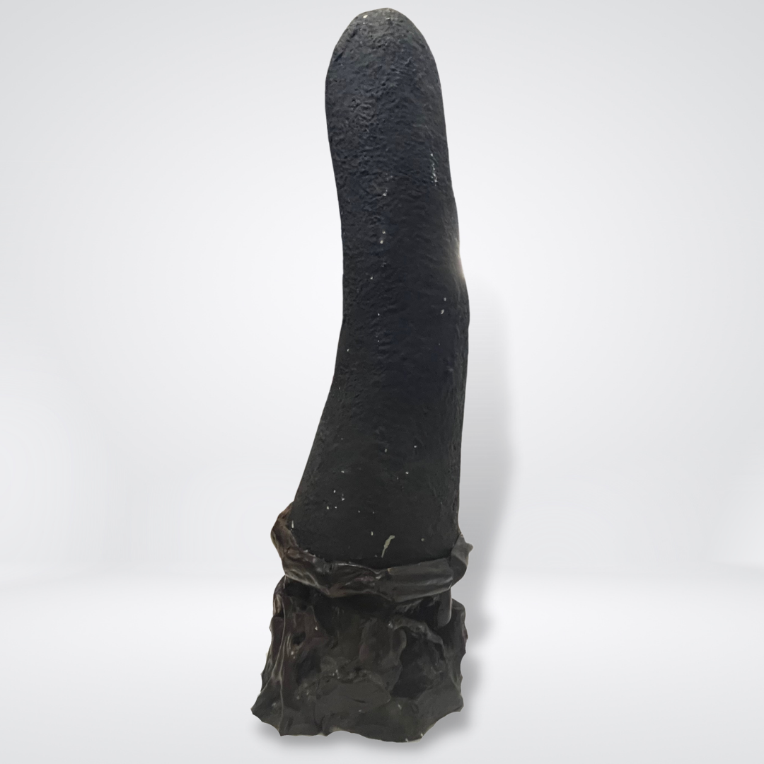 Unique Natural Amethyst with Silver Crystal at the bottom as Treasurers Gold Display Wooden Stand - 49.0kg 1020 by 310 by 330mm